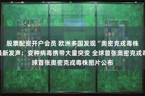 股票配资开户会员 欧洲多国发现“奥密克戎毒株”！钟南山最新发声：变种病毒携带大量突变 全球首张奥密克戎毒株图片公布