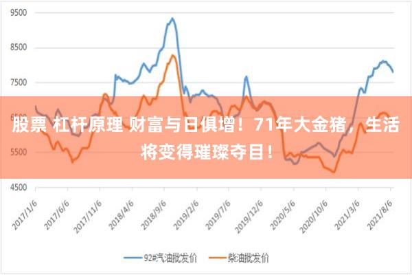 股票 杠杆原理 财富与日俱增！71年大金猪，生活将变得璀璨夺目！