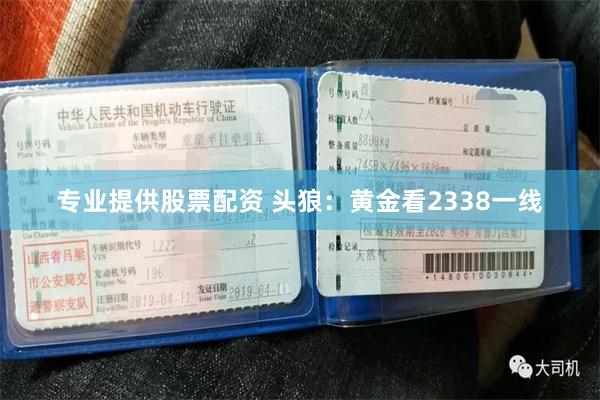 专业提供股票配资 头狼：黄金看2338一线