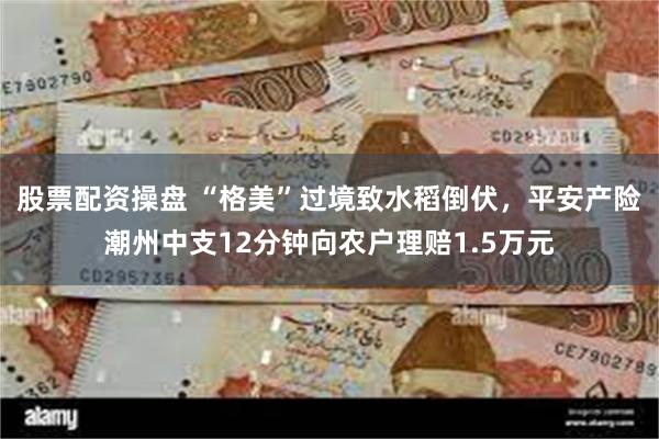 股票配资操盘 “格美”过境致水稻倒伏，平安产险潮州中支12分钟向农户理赔1.5万元