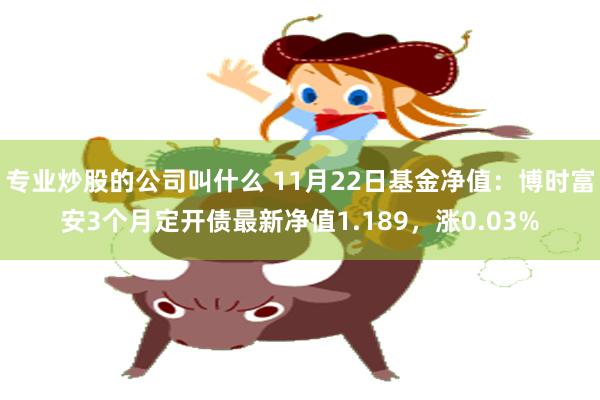 专业炒股的公司叫什么 11月22日基金净值：博时富安3个月定开债最新净值1.189，涨0.03%