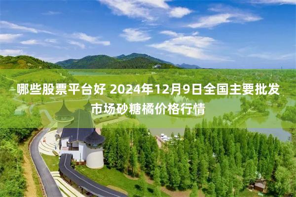 哪些股票平台好 2024年12月9日全国主要批发市场砂糖橘价格行情