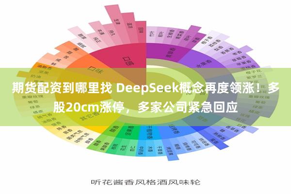 期货配资到哪里找 DeepSeek概念再度领涨！多股20cm涨停，多家公司紧急回应