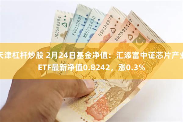 天津杠杆炒股 2月24日基金净值：汇添富中证芯片产业ETF最新净值0.8242，涨0.3%